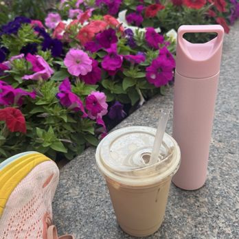 Buon Giorno Coffee - Iced blueberry latte - Coffee & Tea Near Me - Fort Worth, Texas Buon Giorno Coffee - Iced blueberry latte - Coffee & Tea Near Me - Fort Worth, Texas