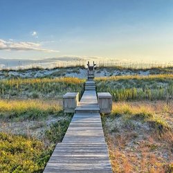 Best Of Bald Head
