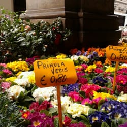 Mercato delle Piante - -by danella
