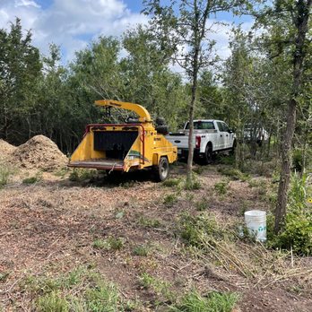 Sergio's Tree Service - Tree Services Near Me