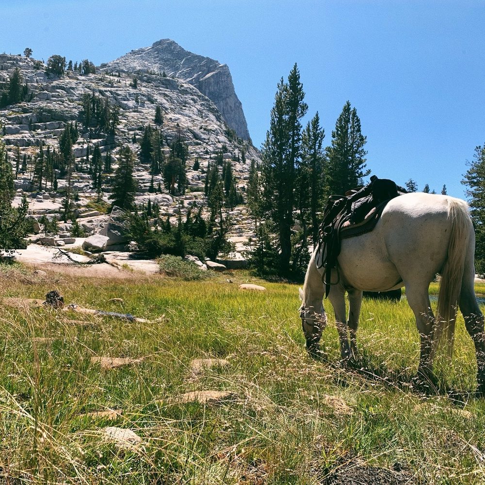 Riding Wild - Community Service/Non-Profit Near Me Riding Wild - Community Service/Non-Profit Near Me