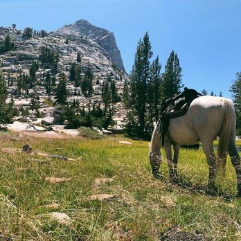 Riding Wild - Community Service/Non-Profit Near Me