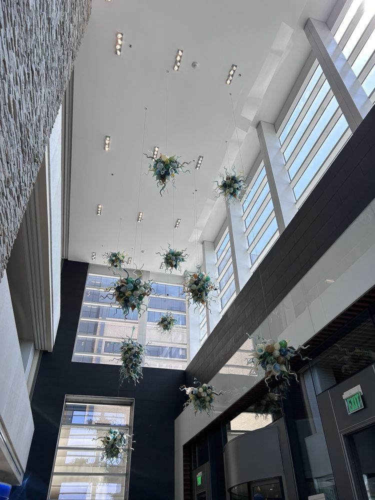 St Elizabeth Healthcare - patient advocate in Edgewood, KY