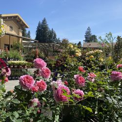 Sloat Garden Center