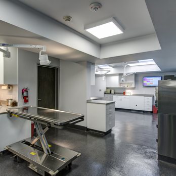 Levitch Associates - General Contractors Near Me - Berkeley, California
