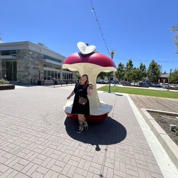 Philz Coffee - Apple chair outside of Philz - Coffee & Tea Near Me - Cupertino, California Philz Coffee - Apple chair outside of Philz - Coffee & Tea Near Me - Cupertino, California