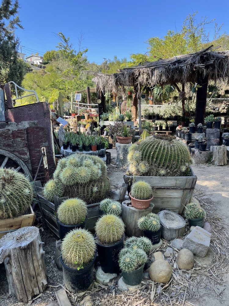 CITY FARMERS NURSERY 648 Photos & 350 Reviews 3110 Euclid Ave, San