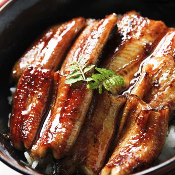 RYU - Eel Sashimi - Sushi Bars Near Me - Memphis, Tennessee RYU - Eel Sashimi - Sushi Bars Near Me - Memphis, Tennessee