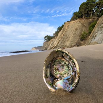 Bowling Ball Beach - Beaches Near Me - Point Arena, California