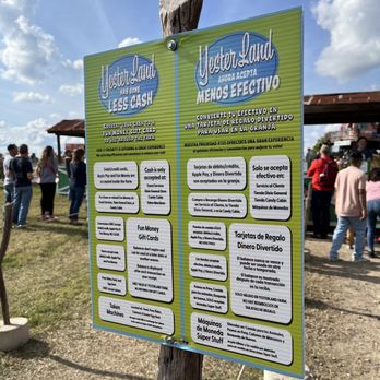 YesterLand Farm - Pumpkin Patches Near Me - Canton, Texas