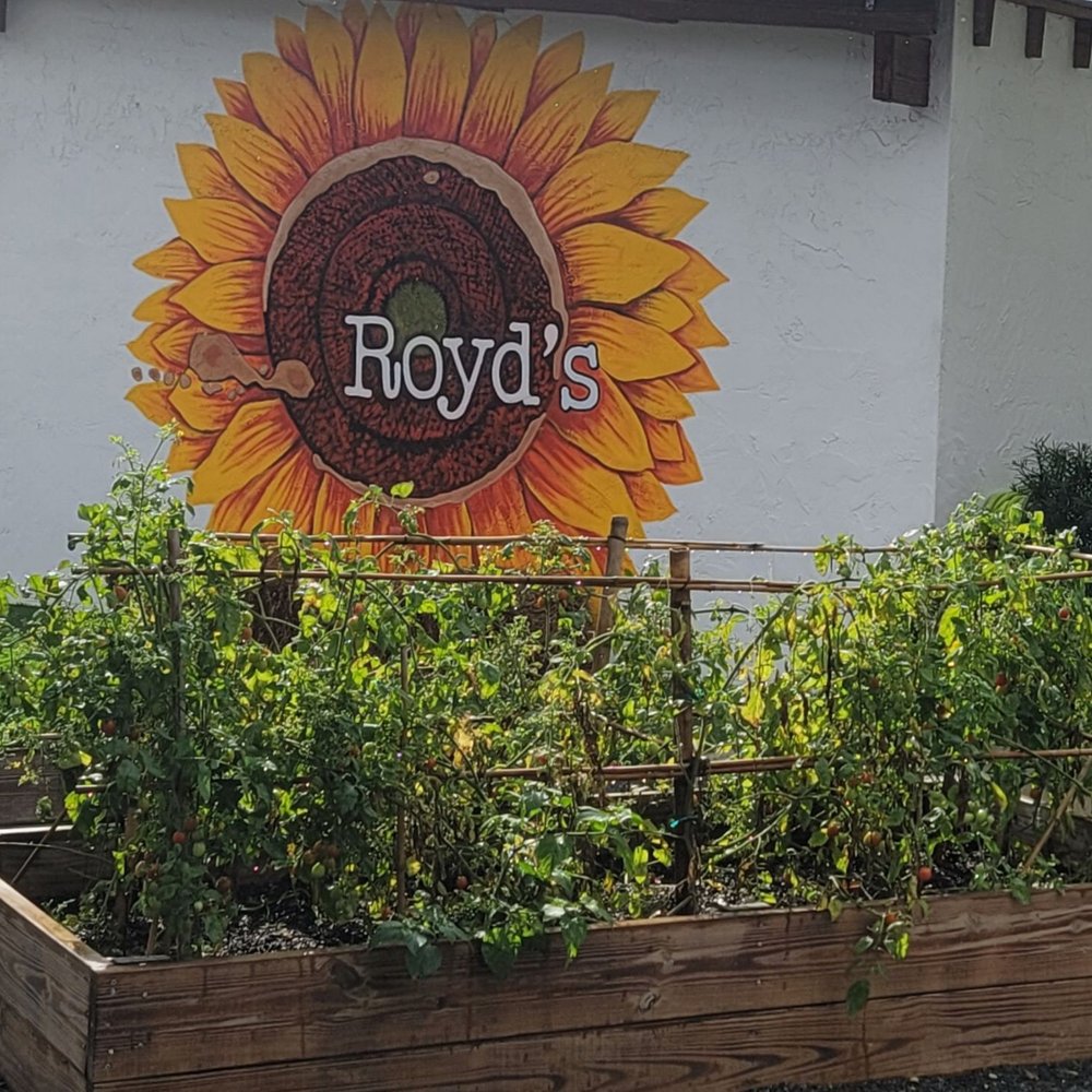 Royd’s - Cuban Near Me - Miami, Florida Royd’s - Cuban Near Me - Miami, Florida