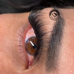 Aesthetics Nova - Wispy Lashes