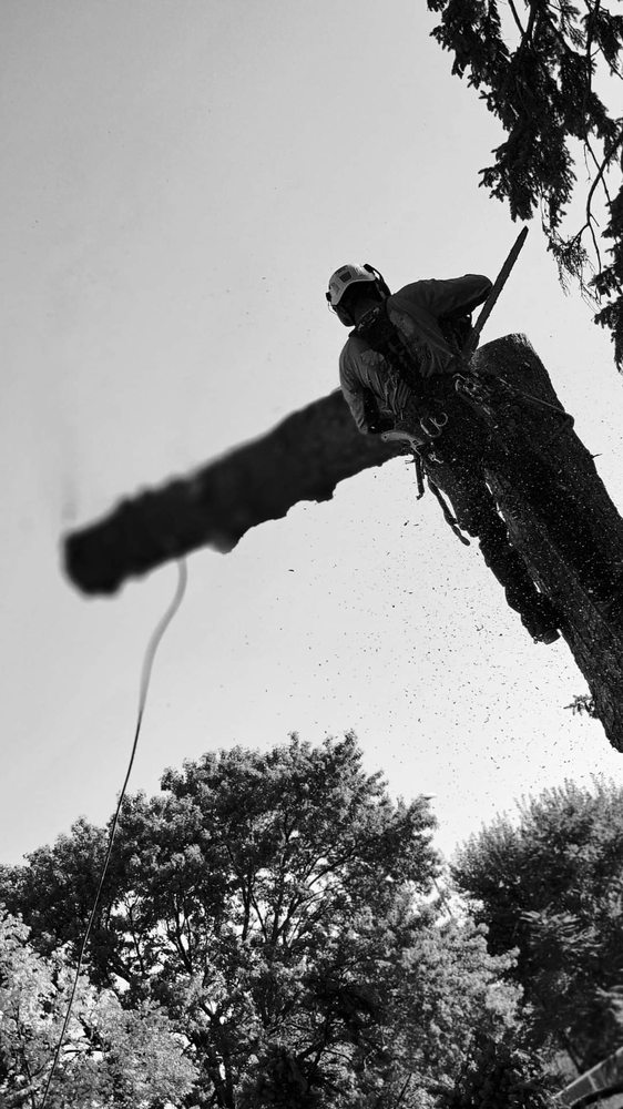 M&A Tree Service And Landscaping - tree service in Bellevue, NE