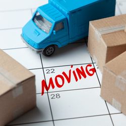 Burton Moves