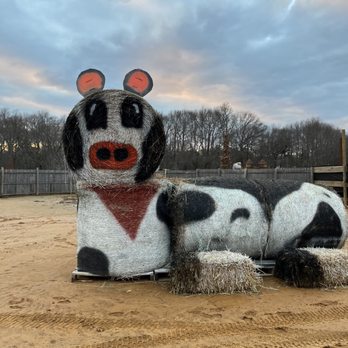 Maple Leaf Farms - Hello moo cow hay bale! - Nurseries & Gardening Near Me - Manalapan Township, New Jersey Maple Leaf Farms - Hello moo cow hay bale! - Nurseries & Gardening Near Me - Manalapan Township, New Jersey