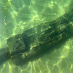 Even paddled over a shipwreck! Even paddled over a shipwreck!
