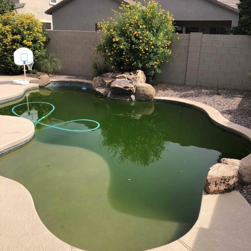 BlueZone Pools - Yikes - Pool Cleaners Near Me - Gilbert, Arizona