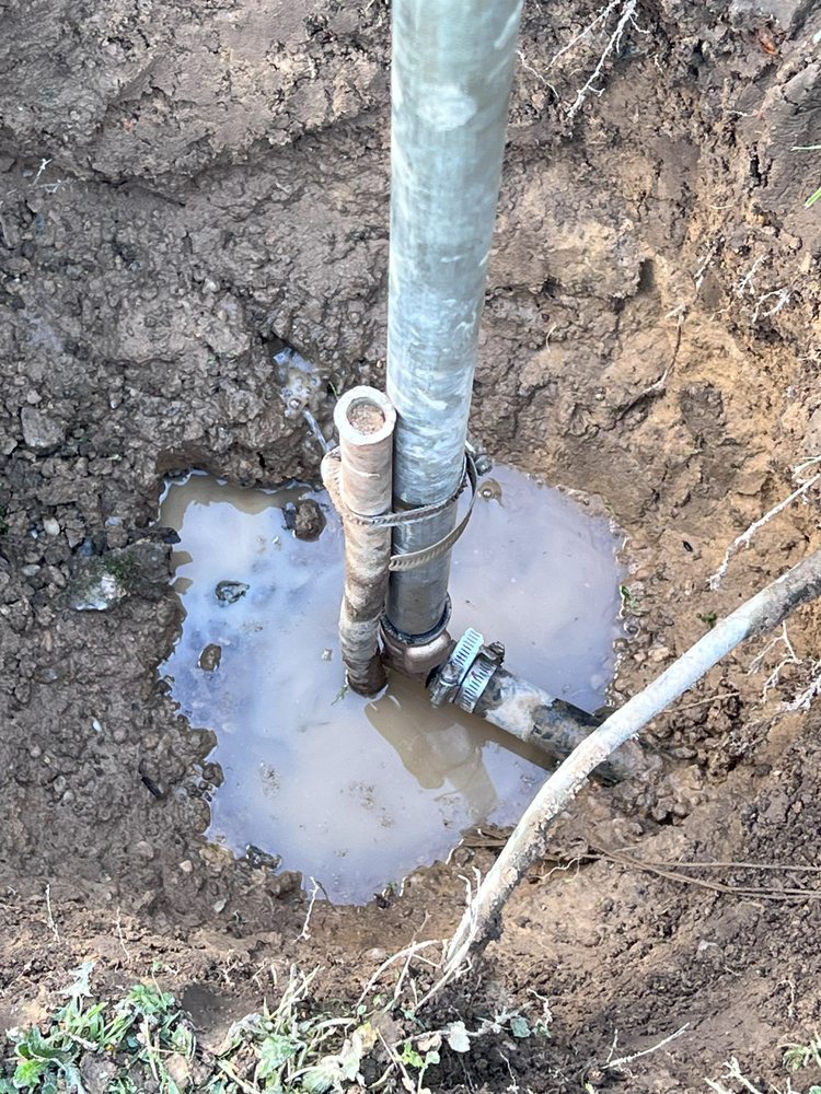 Slide of Big Dawg's Plumbing Services