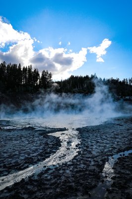 Hayden Valley by null