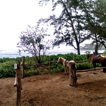 Stables - Horseback Riding Near Me - Kahuku, Hawaii Stables - Horseback Riding Near Me - Kahuku, Hawaii