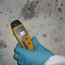 Environix - Moisture meter testing on a mold damaged wall.