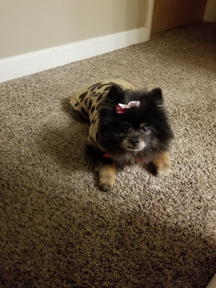 WOOD COUNTY HUMANE SOCIETY Updated September 2024 801 Van Camp Rd, Bowling Green, Ohio