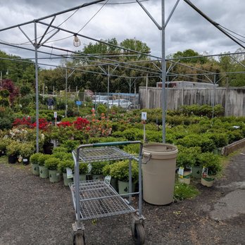Van Houten Farms - Shrubs - Farmers Market Near Me - Orangeburg, New York Van Houten Farms - Shrubs - Farmers Market Near Me - Orangeburg, New York
