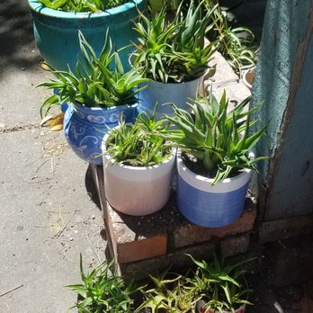 The Home Depot - Got the soil and got started... - Hardware Stores Near Me - Newark, California The Home Depot - Got the soil and got started... - Hardware Stores Near Me - Newark, California