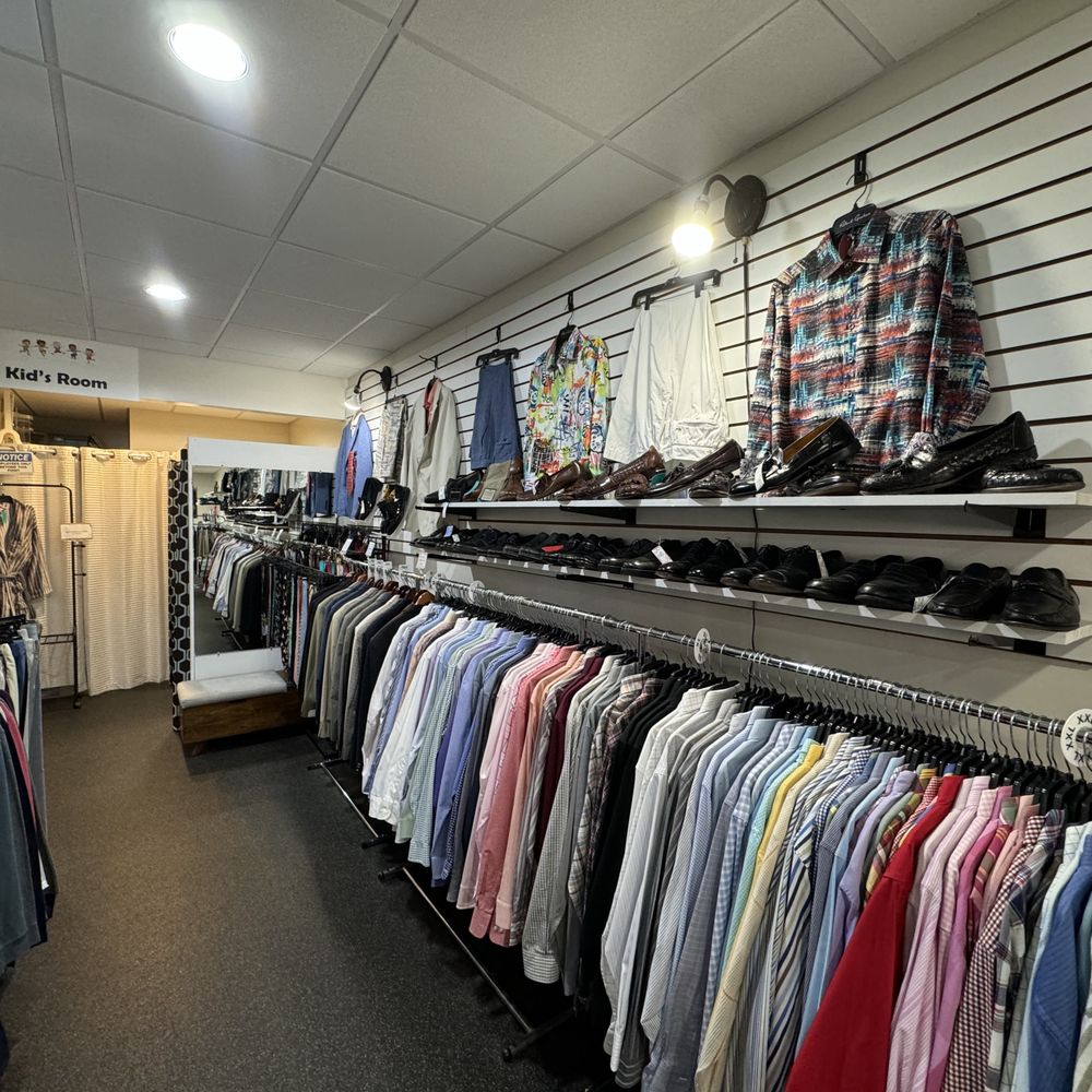 REDUCED!!! 1️⃣5️⃣0️⃣0️⃣to a good 🏠! Friesian x cob 3YO filly To make 14hh  🌟excellent to load \u0026 travel 🌟good to stable \u0026 turnout 🌟ties up \u0026 stands  to be groomed Breeze has, image size:1000x1000