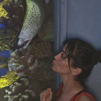 Delphinus Punta Cancún - Aquariums Near Me - Cancún, ROO
