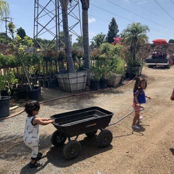 Horizon Nursery - the wagon they let you borrow to hold your plants - Nurseries & Gardening Near Me - Santa Fe Springs, California