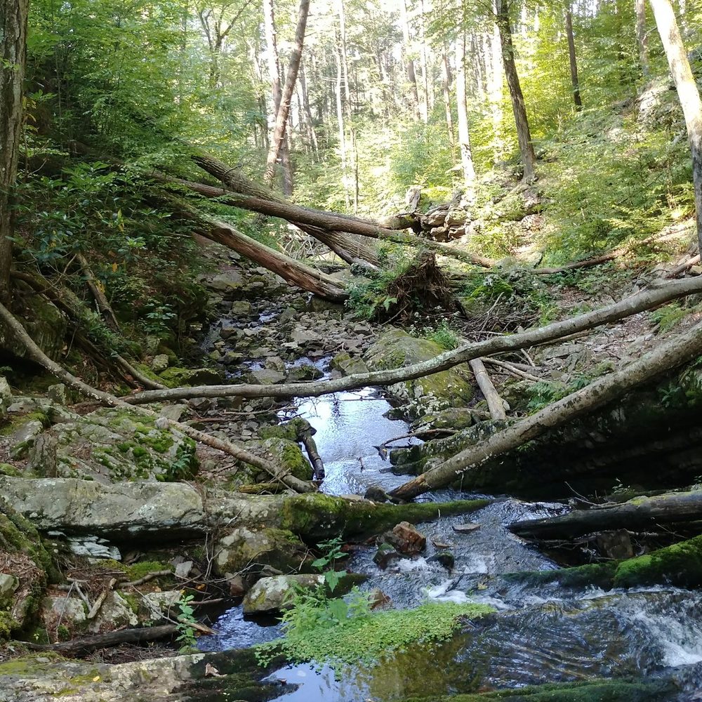 Buttermilk Falls - Upper stream - Hiking Near Me - Walpack Township, New Jersey Buttermilk Falls - Upper stream - Hiking Near Me - Walpack Township, New Jersey