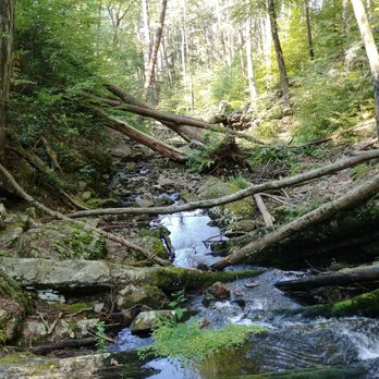 Buttermilk Falls - Upper stream - Hiking Near Me - Walpack Township, New Jersey