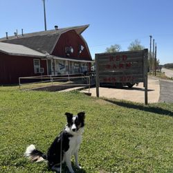 Red Barn Cafe