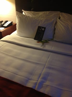 Cambridge Suites Toronto by null