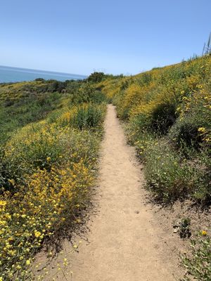 Point Mugu State Park by null