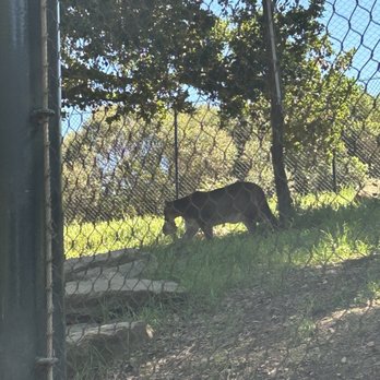 Oakland Zoo - Zoos Near Me - Oakland, California