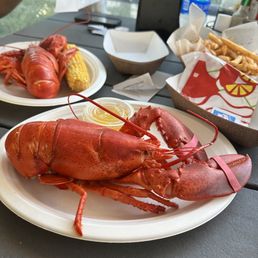 Twin lobsters