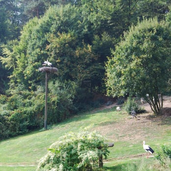 Tierpark Herborn - Zoos Near Me - Herborn, HE