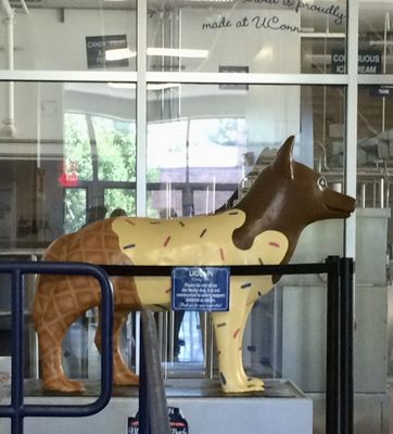 University Of Connecticut Athletic Department