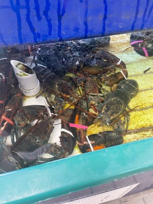 Ward's Seafood Market & Take-Out by null