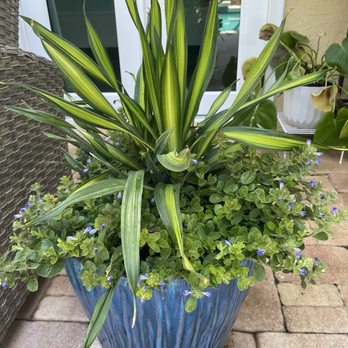 Eden Nursery - Nurseries & Gardening Near Me - Clearwater, Florida