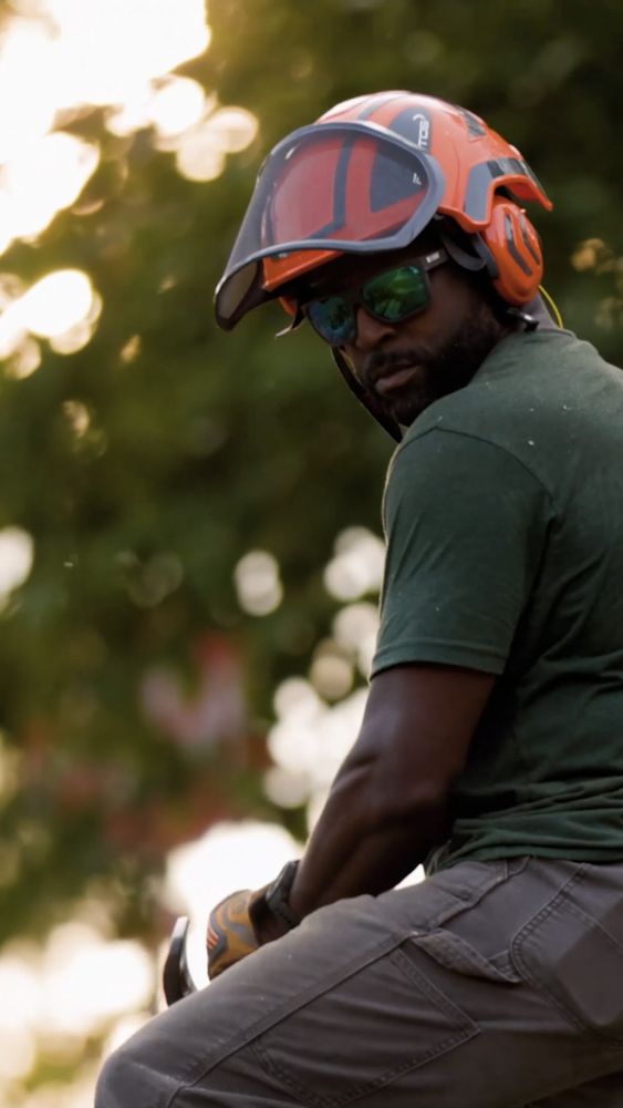 Easton Hauling and Tree - veterans service organization in Pell City, AL