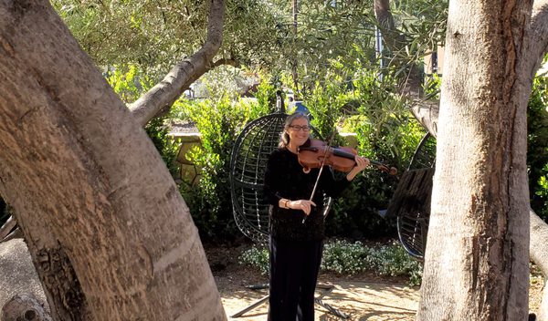 Solo Violinist for Weddings | Surprise Proposal Music - My favorite things to do for people are to perform for surprise marriage proposals and for intimate weddings and elopements.  I enjoy helping plan and making sure the music enhances the moment for the couple.  I've performed in the redwoods, in the SFO baggage claim, on rooftops, in a garage, in parks and jogging paths and even on a cable car.  

Solo violin is versatile and can cover a wide range of musical styles, so chances are, I'll have songs in my repertoire that will set the mood perfectly for you.  

If you are looking for the ultimate in romance and elegance, adding a solo violinist is an excellent way to make the moment memorable.  Please contact me for more information.