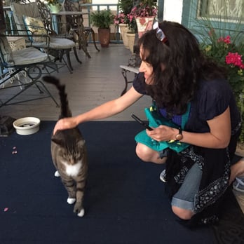 Rainbow House Bed & Breakfast - Another resident cat greeting my wife on the front porch. - Bed & Breakfast Near Me - Niagara Falls, New York Rainbow House Bed & Breakfast - Another resident cat greeting my wife on the front porch. - Bed & Breakfast Near Me - Niagara Falls, New York