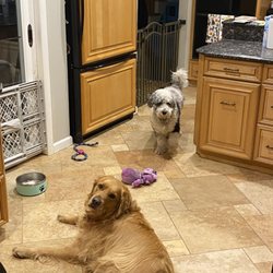 The Bark Avenue Inn