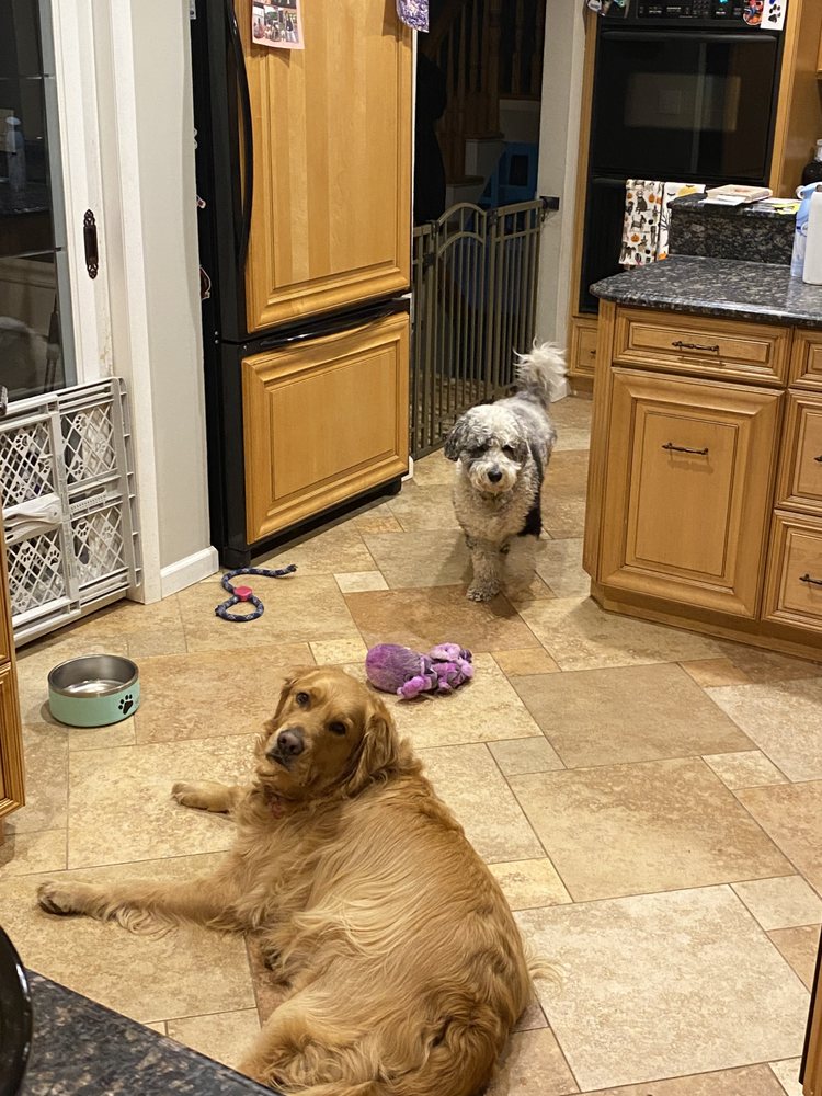 THE BARK AVENUE INN Updated August 2025 Request a Quote 22 Photos