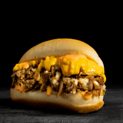 Pardon My Cheesesteak - Loaded Cheesesteak Fries