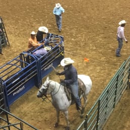 "Save a horse, ride a cowboy!" "Save a horse, ride a cowboy!"