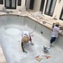 Photo of Apex Paver Concepts